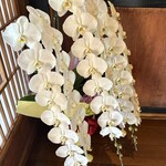 Restaurant 母屋 - 店内のあちこちに飾られている蘭の花
