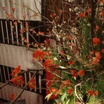 割烹　黒ねこ - 