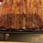 うなぎ 目白ぞろ芽 - 