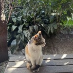 ガレージ ブルーベル - 