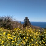 一夜城 ヨロイヅカ・ファーム - 