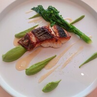 アルピーノ - 