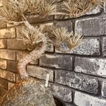 本場博多ラーメン・油そば 一号艇 - 