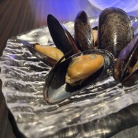 MAIMON GINZA - 