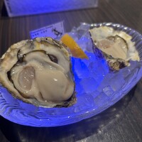MAIMON GINZA - 