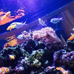 ＤＥＮ アクアルーム 新宿 - 