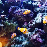 ＤＥＮ アクアルーム 新宿 - 