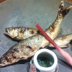 尾頭橋すみや - 稚鮎