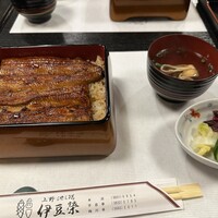 鰻割烹 伊豆栄 本店 -  鰻割烹 伊豆栄 本店 -