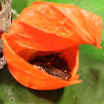 京都 吉兆 - 八寸