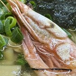 ニボシの恵 - えびらーめん