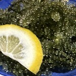 島唄ライブ 琉球 - 