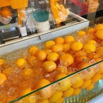 まるごと果汁店 - 