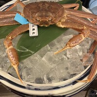 日々魚数寄 東木 - 