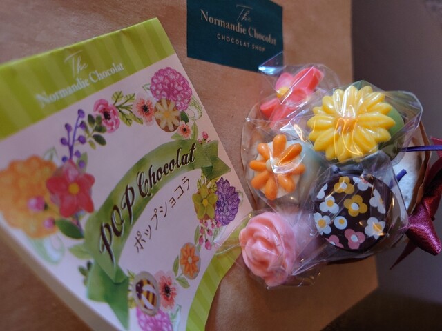 ノルマンディー ショコラ （Normandie Chocolat） - 岩波/チョコレート