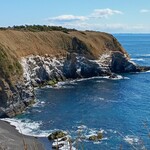 ラビスタ - 城ヶ島　ウミウ生息地