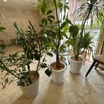 宮古きび茶屋 - 