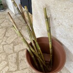 宮古きび茶屋 - 