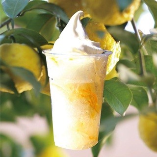 Makiba - ゆずの香りとほろ苦さ。後味すっきり「柚子けずり（ゆずけずり）」！
                        柚子の皮とはちみつで作った自家製の柚子（ゆず）シロップ。
                        すっきりとした甘さとほろ苦さのかき氷。柚子の香りがさっぱりとした後味に！！
                        夏におすすめのかき氷メニューです。