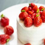 大人のビアガーデン - パティシエ特製ホールケーキ