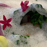 THE ROSE - 