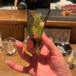 奥新 鮨屋のうおきん - 