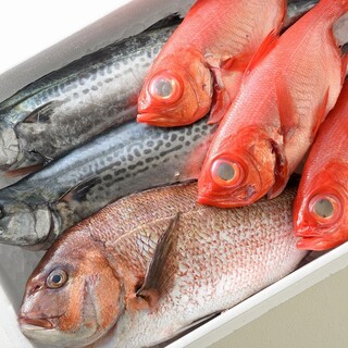 小田原港から直送の鮮魚が、駅の真上で味わえます！