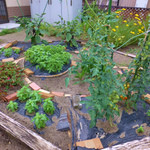 はあぶ工房 トゥギャザー - 