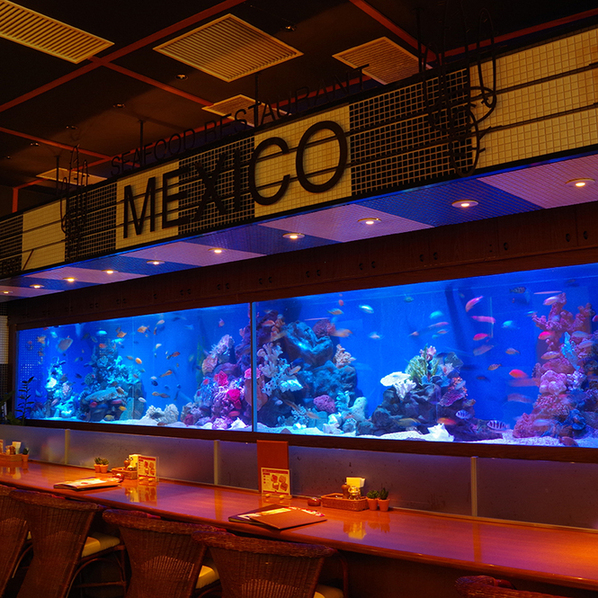 座席 : シーフードレストラン メヒコ 東京ベイ有明店 (seafoods restaurant MEXICO) - 有明/シーフード | 食べログ