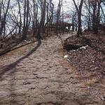 Akaneya Coffee Ten Kyudo Ten - 