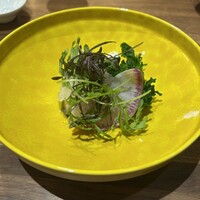 Selvaggio - 
