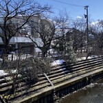 蘇TETSU - 富山なのに目黒川のカフェみたい❤︎春は桜が開花するって、まさに中目じゃん