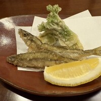 ざくろ TBS店 - 