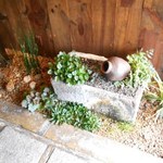 茶寮つぼ市製茶本舗 - 入口の坪庭