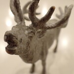 トーコーキッチン - 鹿