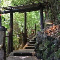 九つ井 本店 - 【プロローグ】