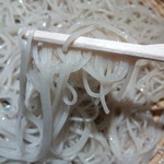 菊屋らん丸 - やさい天せいろ￥1480の極細十割蕎麦（H26.7.4撮影）