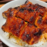 うなぎ料理 澤正 -  うなぎ料理 澤正 -