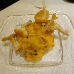 ウシマル - あんず茸