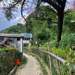 名護山羊料理店 - 