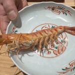 神田錦町 鮨たか晴 - 車海老茹で上がり