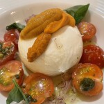 TRATTORIA LA TERRAZZA - 