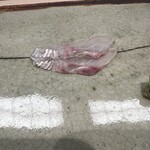 鮨みやもと - ヒラメ