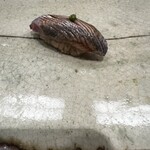 鮨みやもと - 鰯