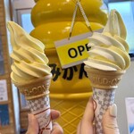 道の駅 桜島 火の島 めぐみ館 - 桜島小みかんソフト　桜島小みかんミルクMIX