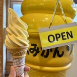 道の駅 桜島 火の島 めぐみ館 - 桜島小みかんソフト