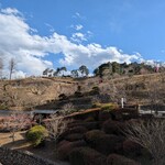 Ramen FeeL - 咲いてる木もあります。３月アタマくらいからでしょうか?