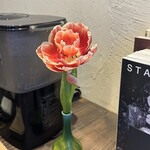 ナノ コーヒーロースター - 