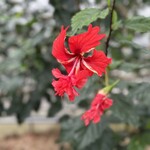 ユートピアファーム宮古島 - 