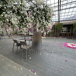 ユートピアファーム宮古島 - 